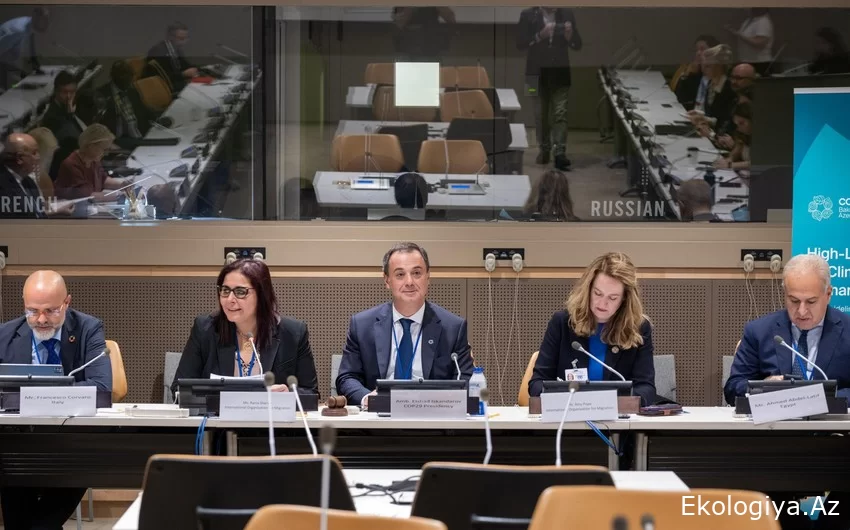 COP29 Sədrliyi və Beynəlxalq Miqrasiya Təşkilatı dəyirmi masa keçirib
