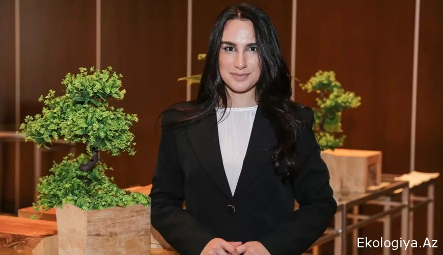 COP29 və biz: nəyi necə etməliyik? - tövsiyələr