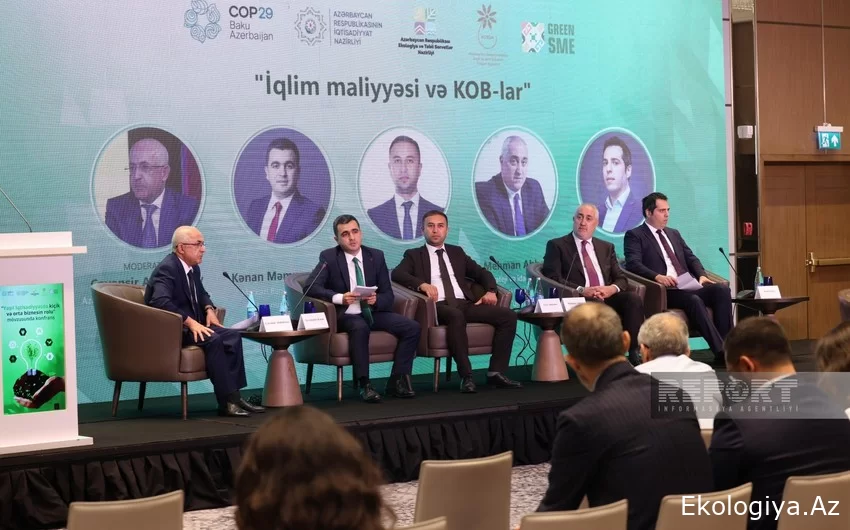 AMB "Yaşıl layihə"lərlə bağlı qanunvericilik bazası formalaşdırır