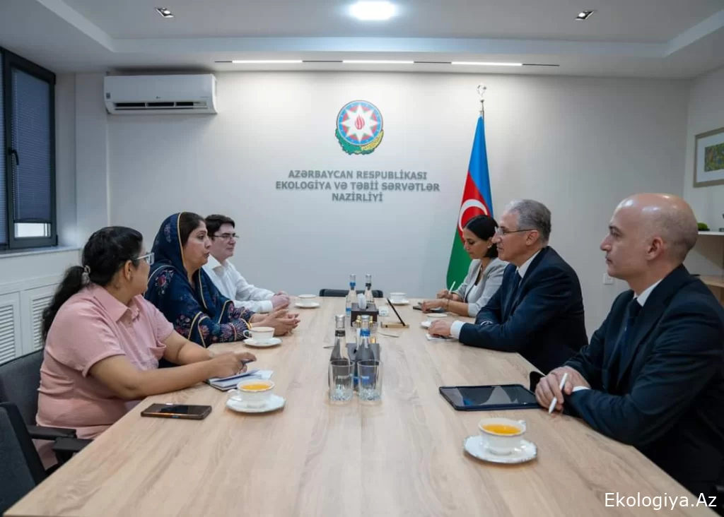 Muxtar Babayev Beynəlxalq Parlamentarilər Konqresinin baş katibi, senator xanım Sitarə Ayaz ilə görüşüb