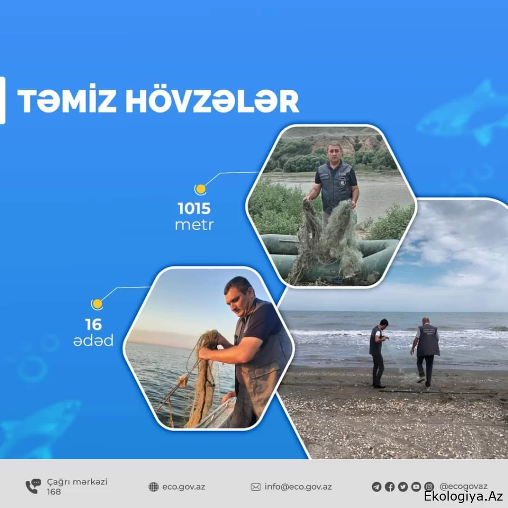 Təmiz hövzələr” aksiyası çərçivəsində sintetik torlar su hövzələrindən yığışdırılıb