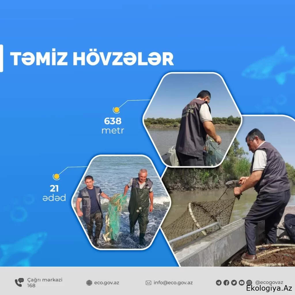 “Təmiz hövzələr” aksiyası çərçivəsində sintetik torlar su hövzələrindən yığışdırılıb