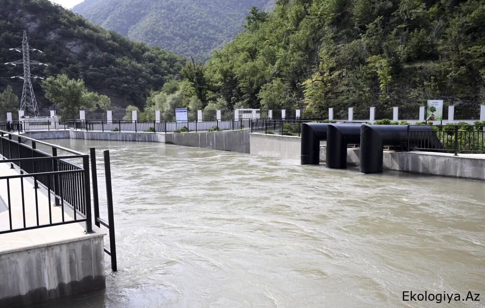 Zəngin təbiəti ilə Kəlbəcər "yaşıl enerji" üçün nə vəd edir?