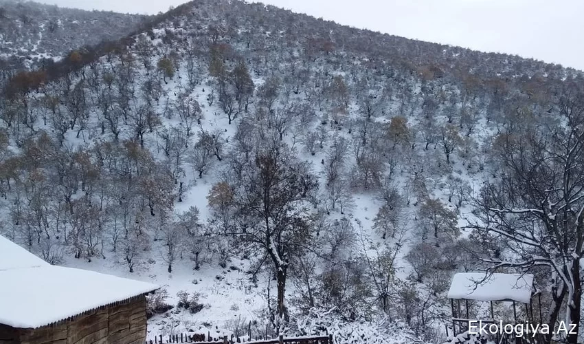 Azərbaycana qar yağdı