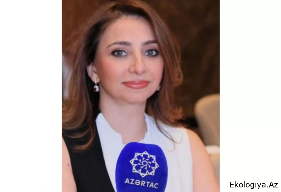 Günay Sağlam: Bakı, Abşeron və Sumqayıtda yerləşən hotellər COP29-un qonaqlarını qarşılamağa tam hazırdır