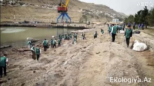“Dəniz könüllüləri” və “Eko könüllülər” Xəzər sahilində təmizlik aksiyası keçiriblər