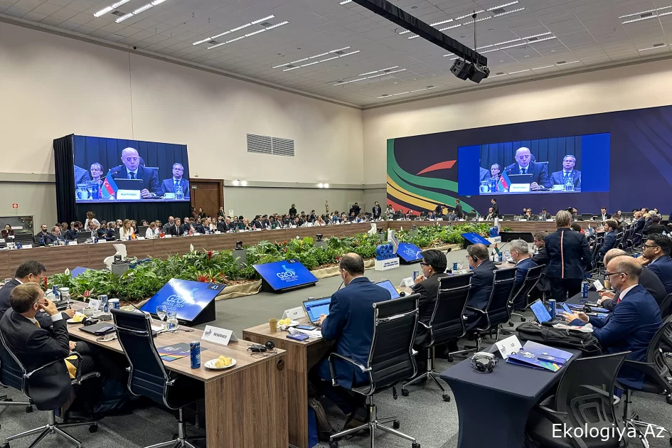 Energetika naziri G20 Enerji Keçidi Nazirlər İclasında COP29-un təşəbbüslərindən danışıb