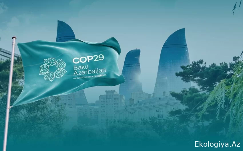 Azərbaycanda keçiriləcək COP29 çərçivəsində tədbirlərdə altı rəsmi dilə tərcümə olacaq
