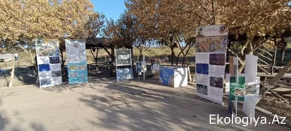 Ümumdünya Heyvanları Müdafiə Günü ilə əlaqədar Şirvan MP-da bir sıra fəaliyyətlər həyata keçirilmişdir.