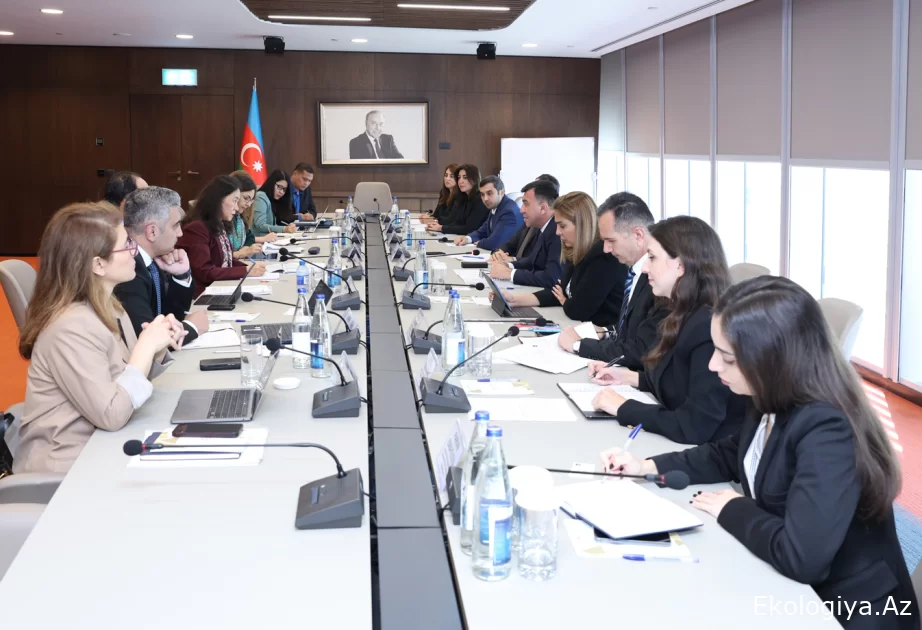 AİB ilə COP29 çərçivəsində əməkdaşlıq müzakirə olunub