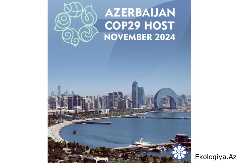 COP29 dünyaya ekoloji saflıq təklif edir ŞƏRH
