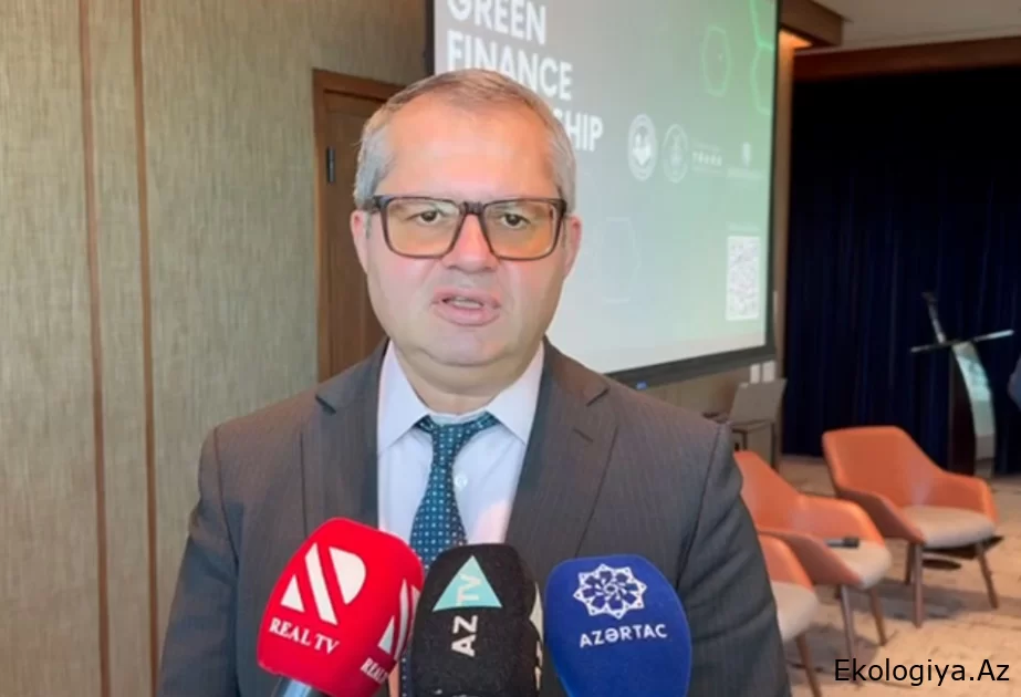Xəzər İbrahim: COP29 çərçivəsində ABŞ-la Azərbaycan arasında çox yaxşı əməkdaşlıq mövcuddur