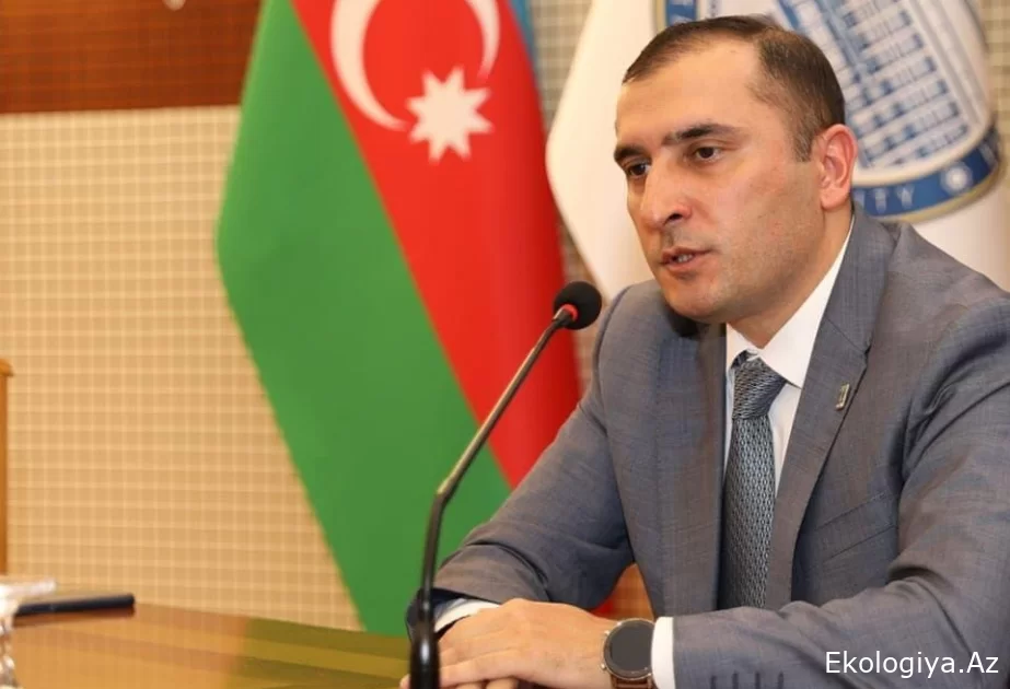 Azərbaycanda köçəri quşların populyasiyasında sabitlik müşahidə olunur
