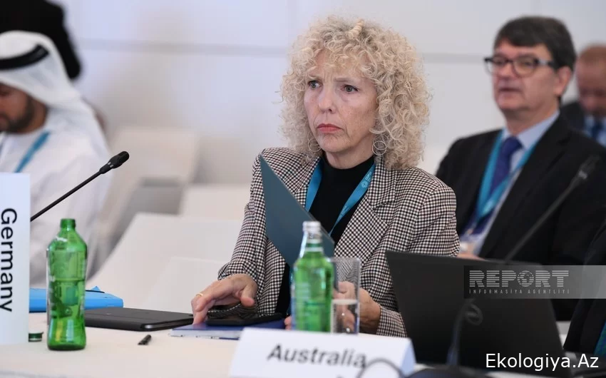 Almaniya XİN-in dövlət katibi COP29-un inklüzivliyinə ümid edir