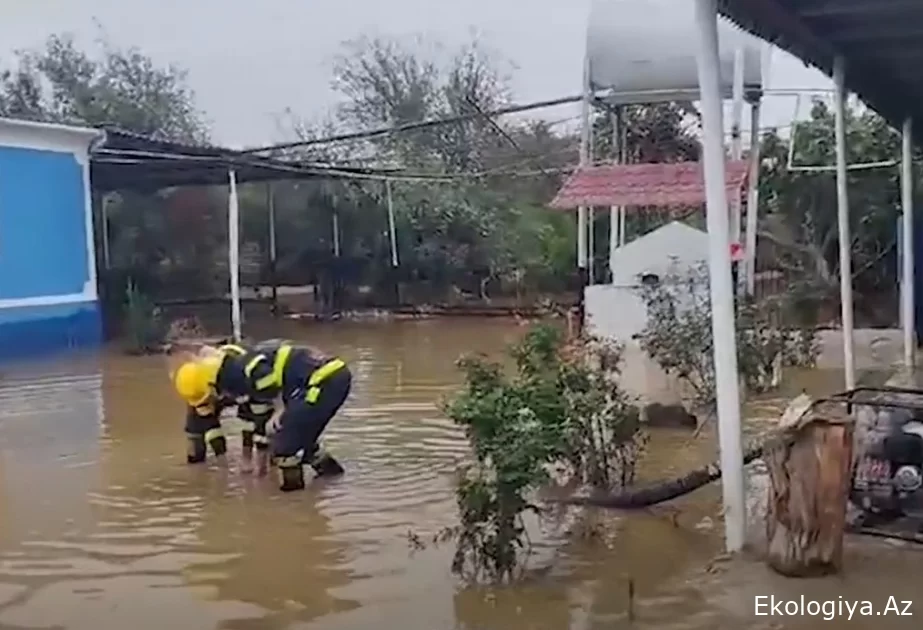 FHN: Hacıqabulun subasmaya məruz qalmış ərazilərində təhlükəsizlik tədbirləri davam etdirilir