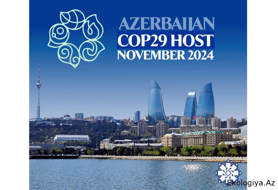 Azərbaycanın yaşıl enerjiyə keçidlə bağlı məqsədlərinə çatmasında COP29-un rolu ŞƏRH