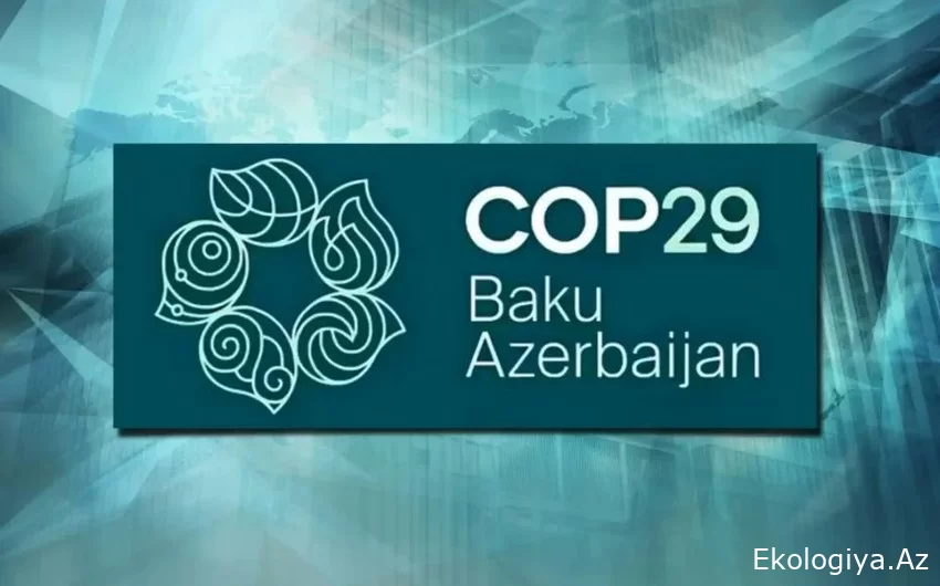 Kot-d'İvuar Bakıda keçiriləcək COP29-da danışıqlar üçün əsas mövzuları müəyyən edib