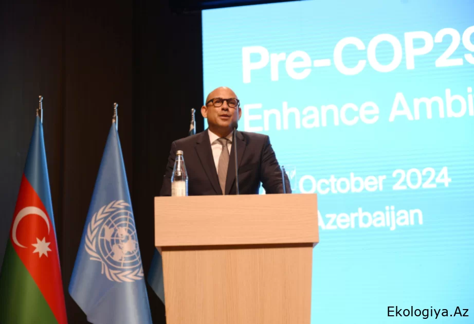 Saymon Stil: Milli iqlim planları qlobal istiləşmənin verdiyi zərərin qarşısını almaqda son dərəcədə yetərsizdir