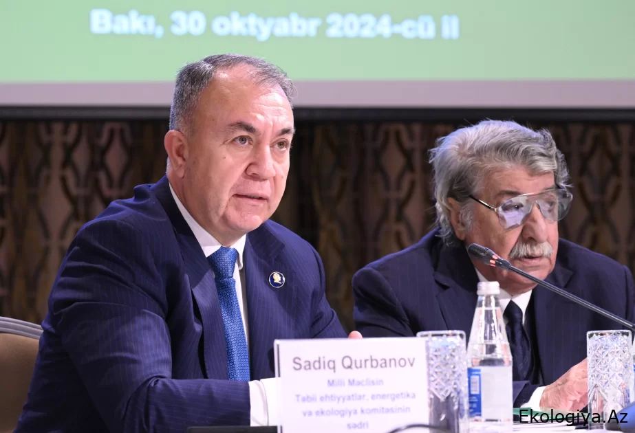 Sadiq Qurbanov: İqlim dəyişikliyinə qarşı mübarizə tədbirlərində alimlərin rolunun artırılması vacibdir