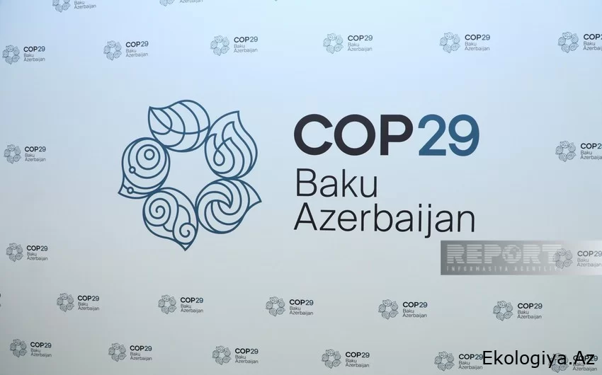 Samoanın BMT yanında daimi nümayəndəsi: COP29 planetin gələcəyini xilas etmək üçün bir şansdır