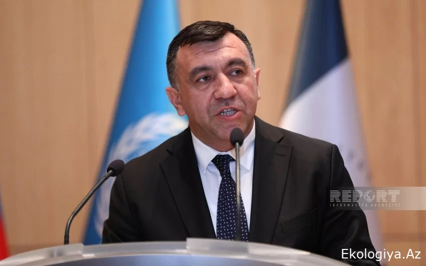 Nazir müavini: "Yaşıl infrastruktur"u və "yaşıl ekosistem"i inkişaf etdirməyə məcburuq"