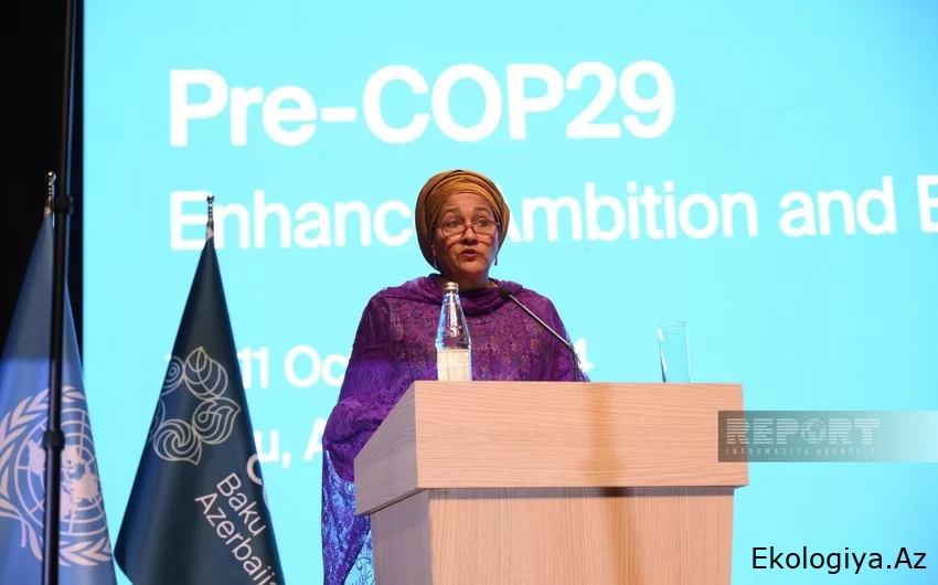 Əminə Məhəmməd: COP29 ambisiyaları real iqtisadi nəticələrə çevirməlidir