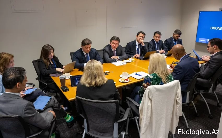 COP29 çərçivəsində Çoxtərəfli İnkişaf Banklarının nümayəndələri ilə görüş keçirilib