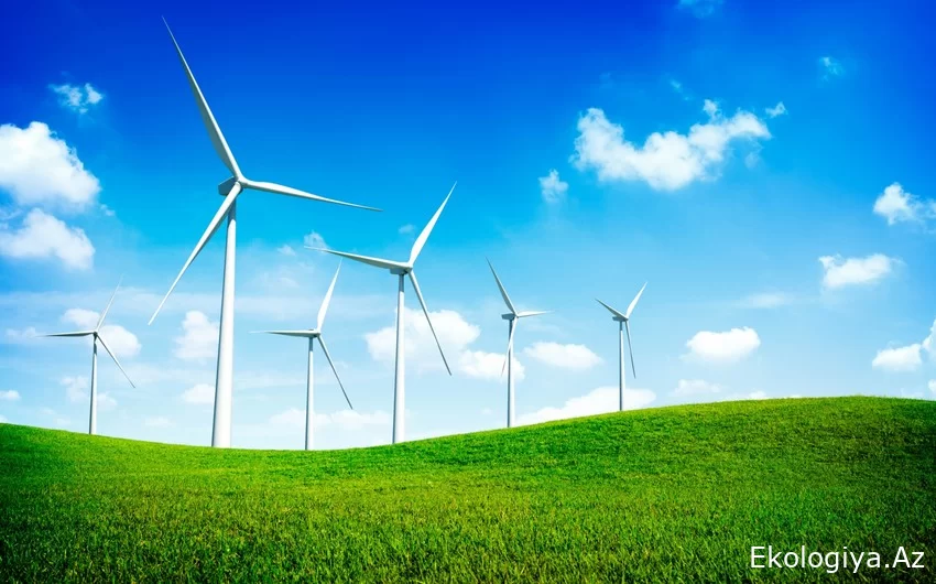 COP29 Azərbaycanı "Qlobal klub"un üzvü kimi yaşıl enerji bazarında gücləndirəcək