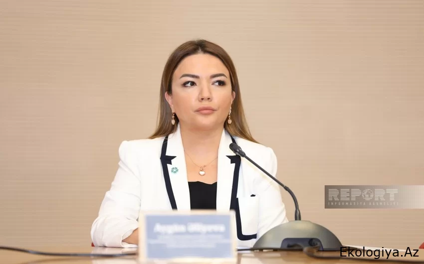 Aygün Əliyeva: “COP29-un təşkilatçılığında qadınların 43 %-lik təmsilçiliyi Azərbaycanı nümunəvi ölkə edir”