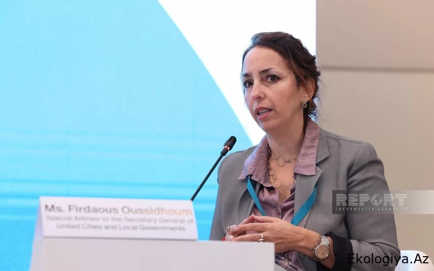 Firdaus Ussidhum: Dünyada iqlim fəaliyyətləri üçün vahid idarəetmə modeli hazırlanmalıdır
