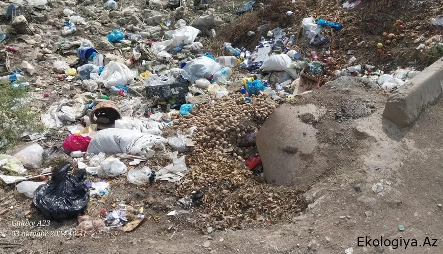Cəlilabadda çayı zibilxanaya çevirdilər, iy evlərə yayılır - FOTO