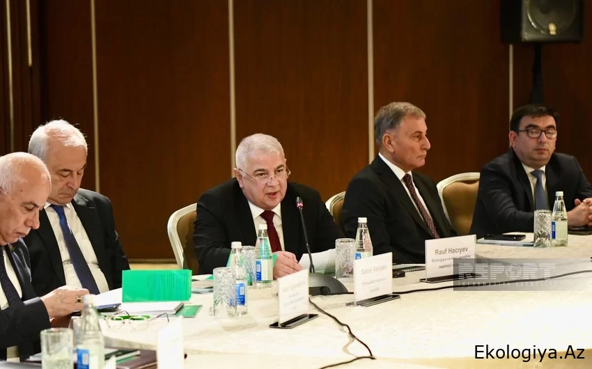 Nazir müavini: Qarabağ və Şərqi Zəngəzurda ətraf mühitin qorunması prioritetdir