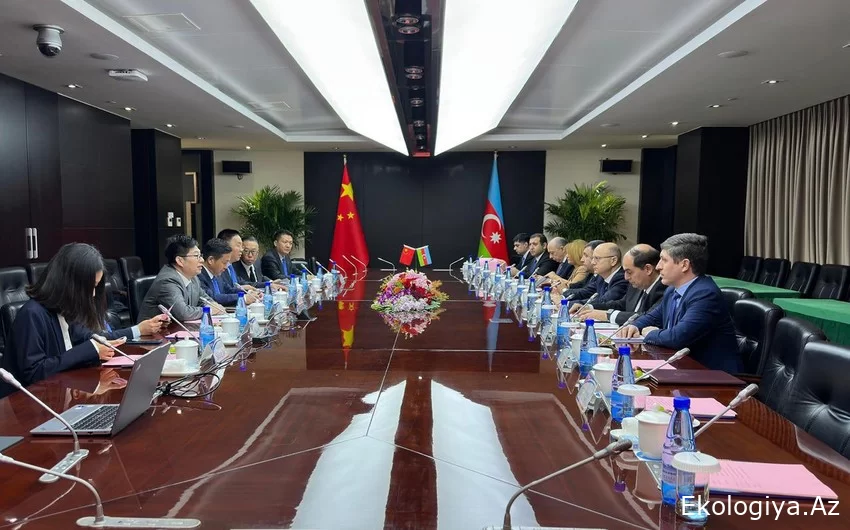 Azərbaycan Çin şirkətləri ilə “yaşıl enerji” sahəsində əməkdaşlığı müzakirə edib
