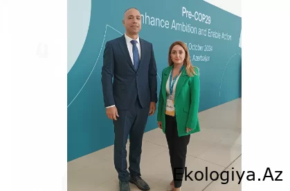 "COP29 uğur hekayəsinə çevriləcək" -ÖZƏL