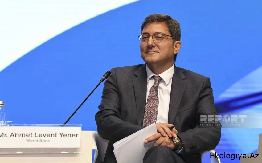Dünya Bankı: "COP29 risklərə qarşı mübarizə üçün effektiv müzakirə meydanı rolunu öz üzərinə götürəcək"