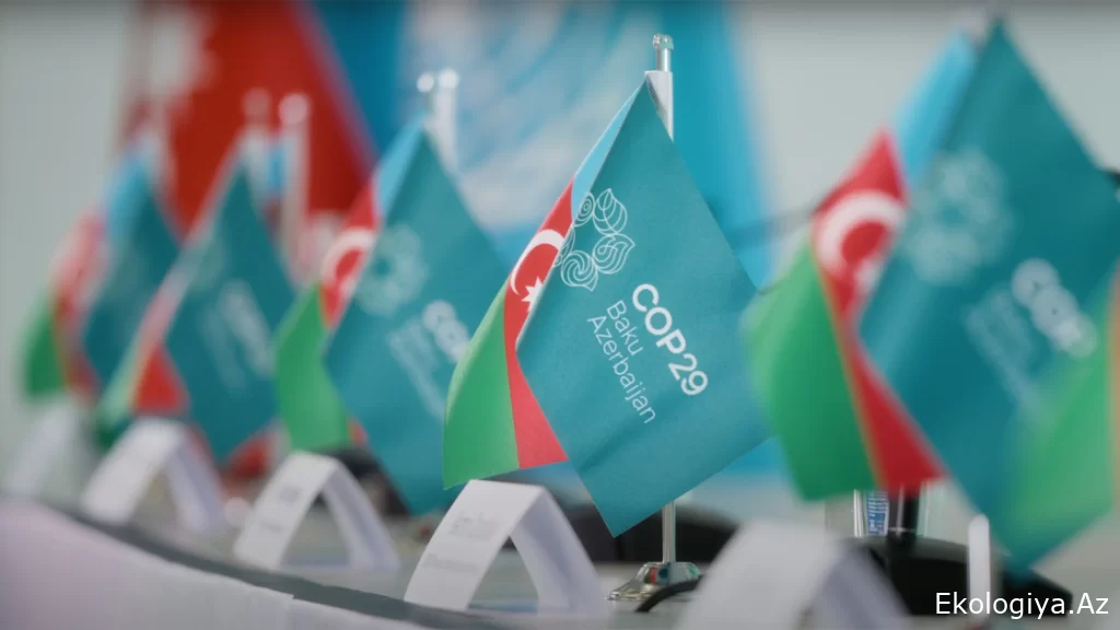 COP29-un Azərbaycanda keçirilməsi ölkə iqtisadiyyatını şaxələndirmək üçün böyük fürsətdir RƏY