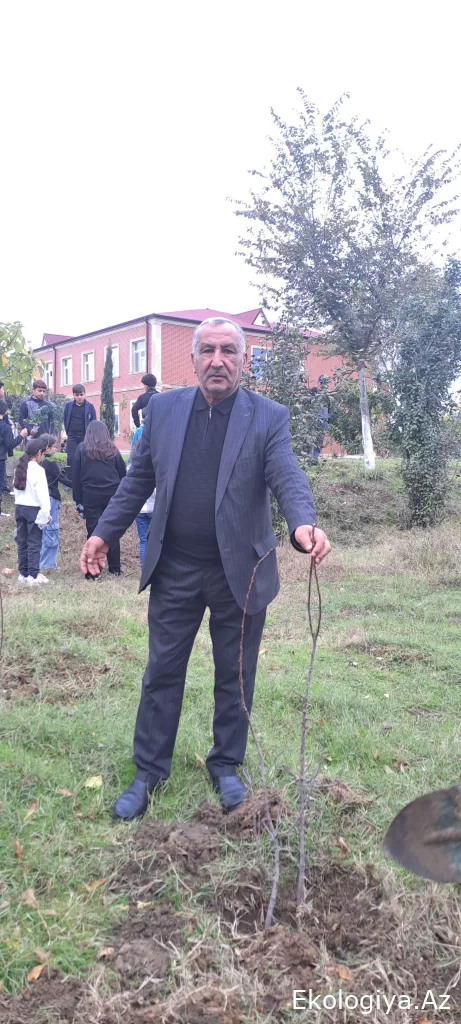 Masallı orta məktəbində  "Yaşıl Dünya Naminə Həmrəylik ili" münasibəti ilə ağac əkmə aksiyası keçirilib - FOTO