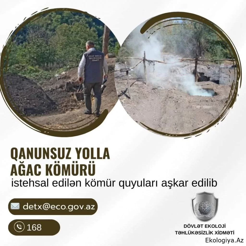 DETX bu rayon ərazilərində qanunsuz yolla ağac kömürü istehsal edilən kömür quyuları aşkar edib