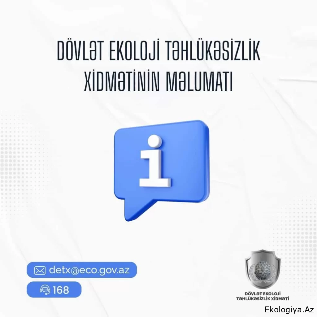 Qanunsuz balıq ovlayan şəxslər saxlanılıb - DETX