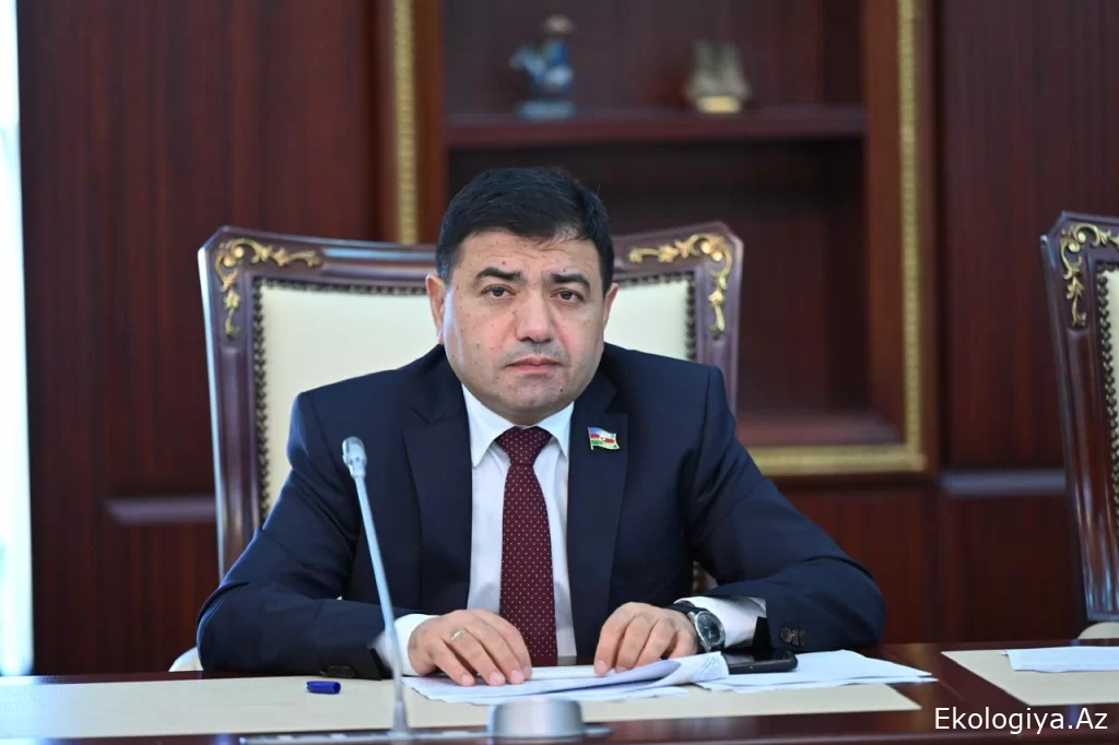 “Digər ərazilər kimi Zəngilanın yaşıl zona elan edilməsi dövlətimizin qlobal iqlim dəyişikliyinə reaksiyasının sübutlarındandır” - RƏY