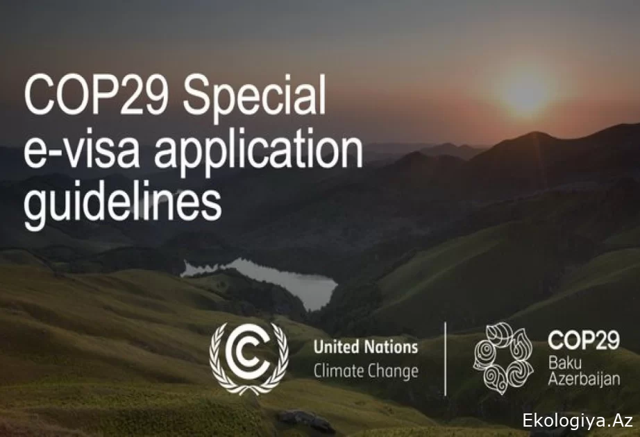 Azərbaycan COP29 iştirakçıları üçün pulsuz xüsusi vizanı tətbiq edib