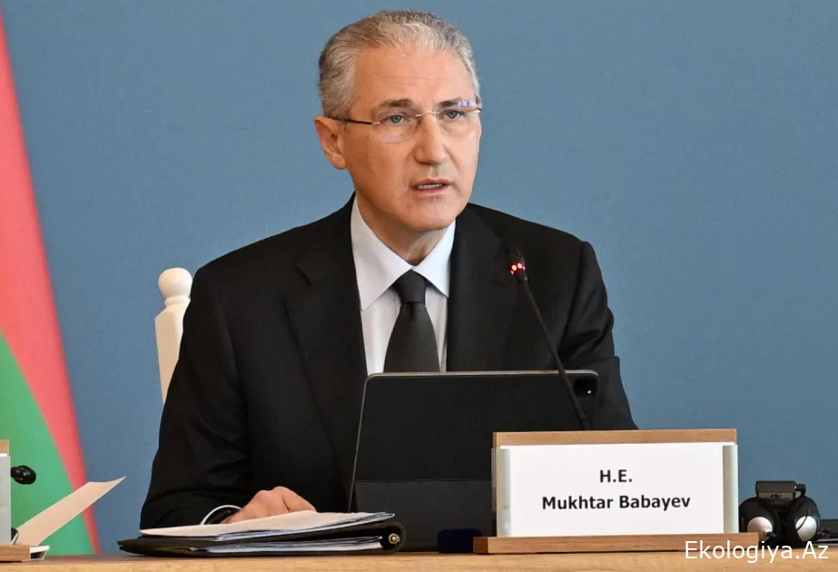 Nazir: Azərbaycan müxtəlif perspektivləri və prioritetləri bir araya gətirən körpü rolunu oynamağa qərarlıdır