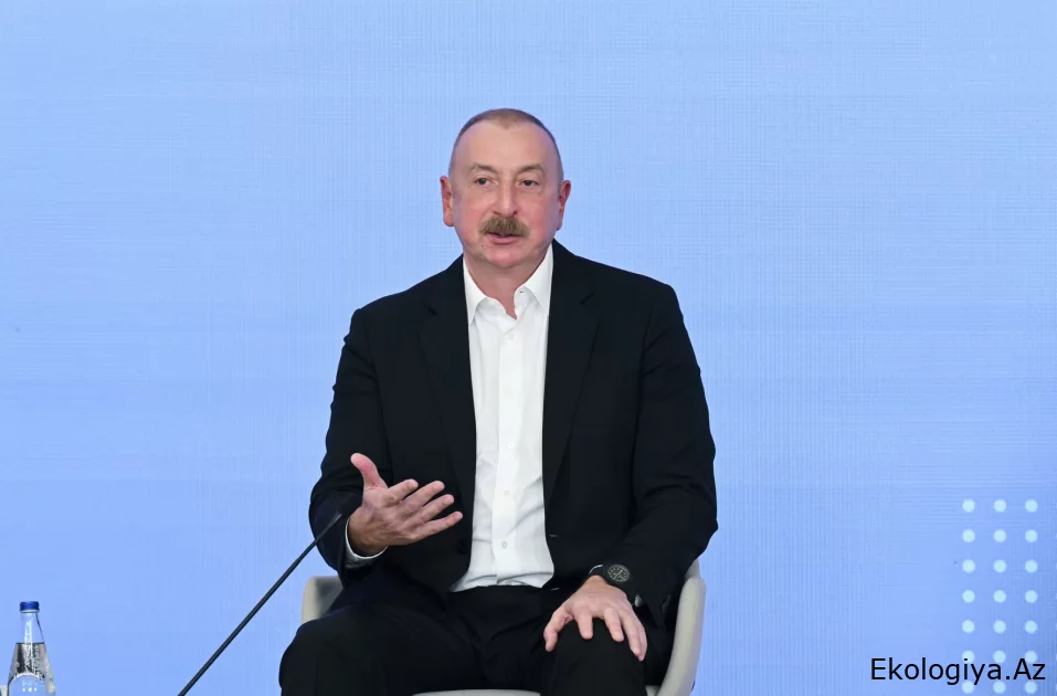 Əminəm ki, bu ölkələr COP29-un işində fəal iştirak edəcəklər – Prezident