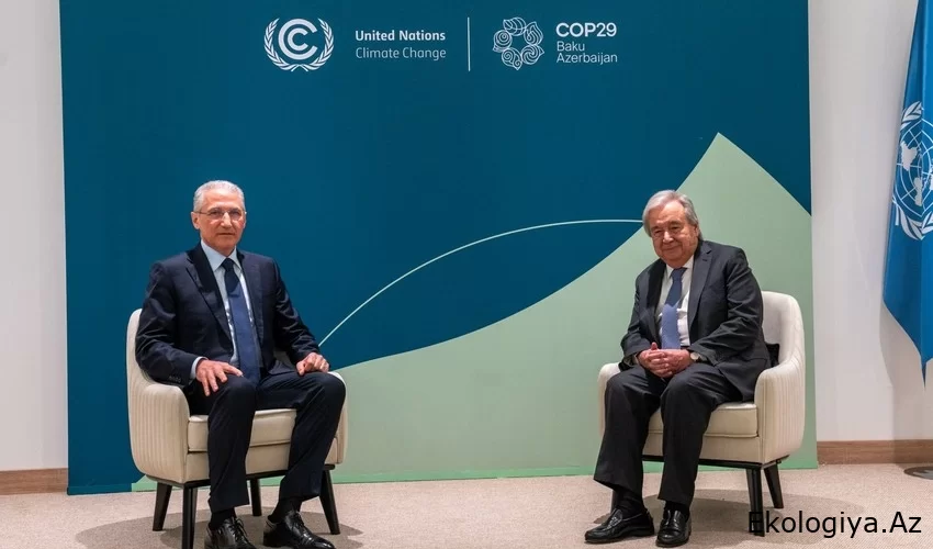COP29-un prezidenti Babayev BMT Baş katibi Quterreş ilə görüşdü