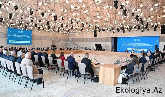 COP30 hansı ölkədə keçiriləcək?