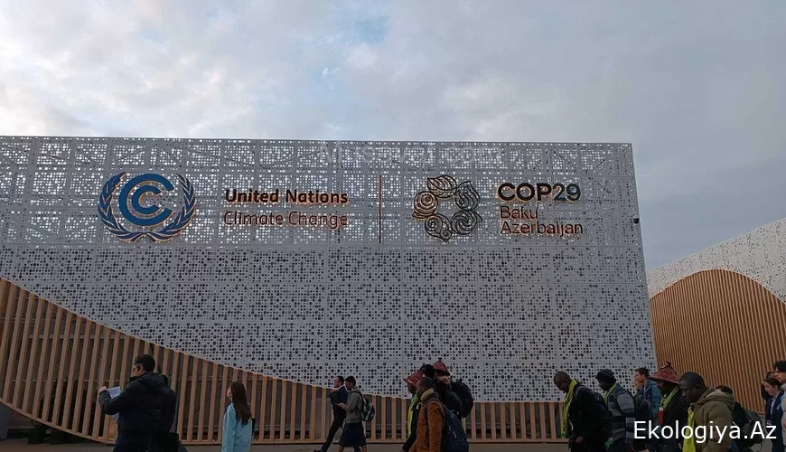COP29-un 2-ci günü necə başladı, necə bitdi? - VİDEO