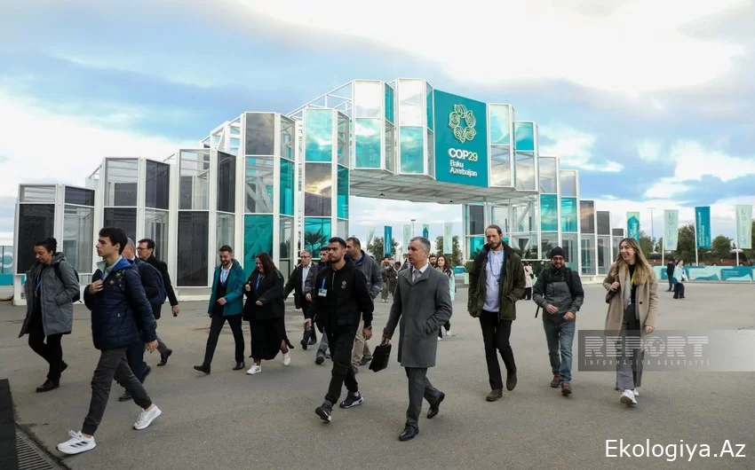 COP29-un beşinci günü: Qonaqlar həyəcanlı və sevinclidirlər - FOTOREPORTAJ