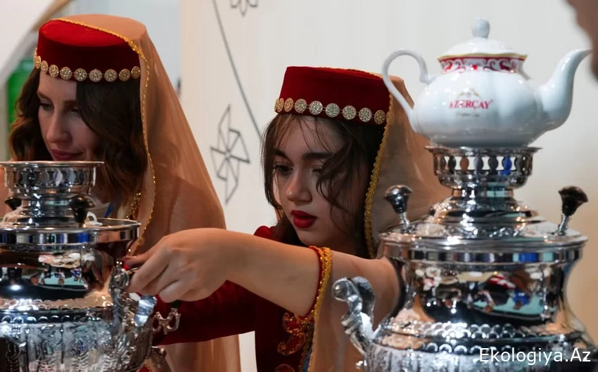 The Independent: Azərbaycan çayı COP29-da mədəniyyət rəmzi və iqlim dəyişikliyi çağırışı kimi