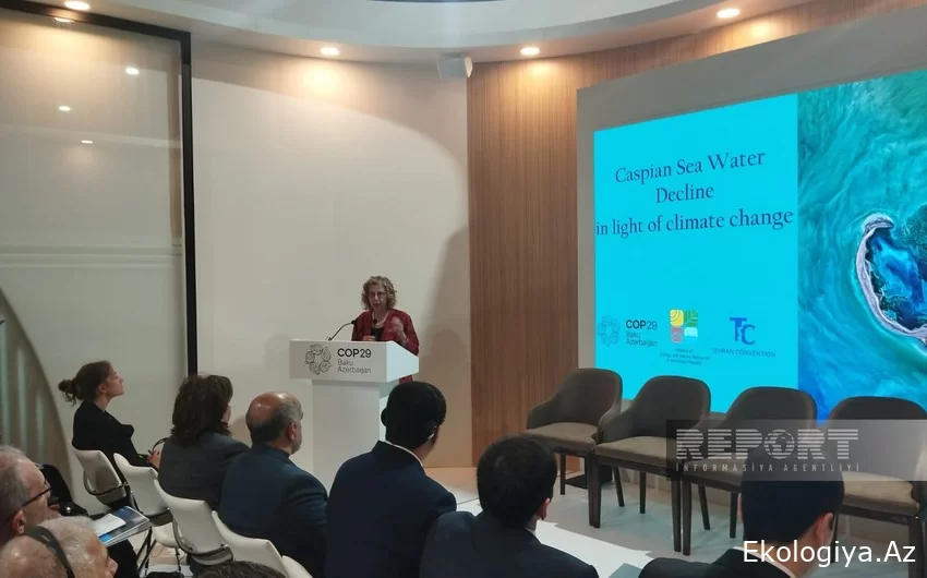 BMT-nin proqram rəhbəri: Xəzərin dayazlaşması regionun ərzaq təhlükəsizliyini təhdid edir