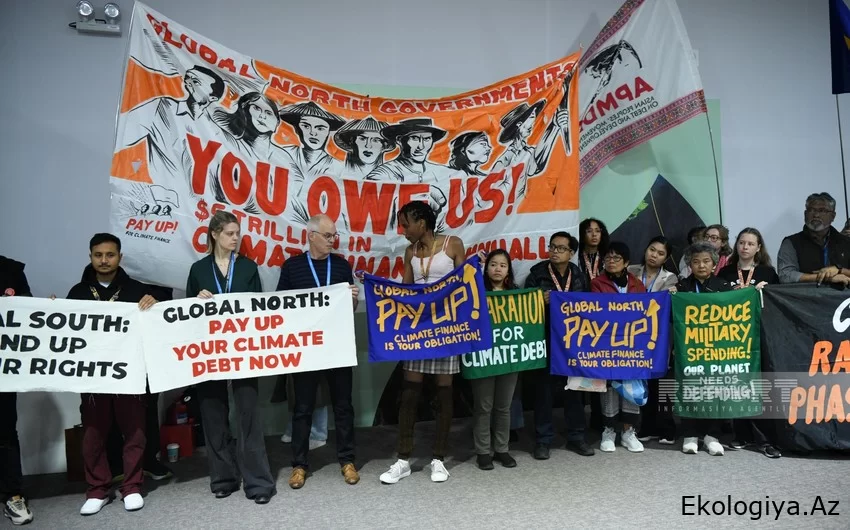 COP29-da ekoaksiya iştirakçıları inkişaf etmiş ölkələri iqlim maliyyəsini artırmağa çağırır